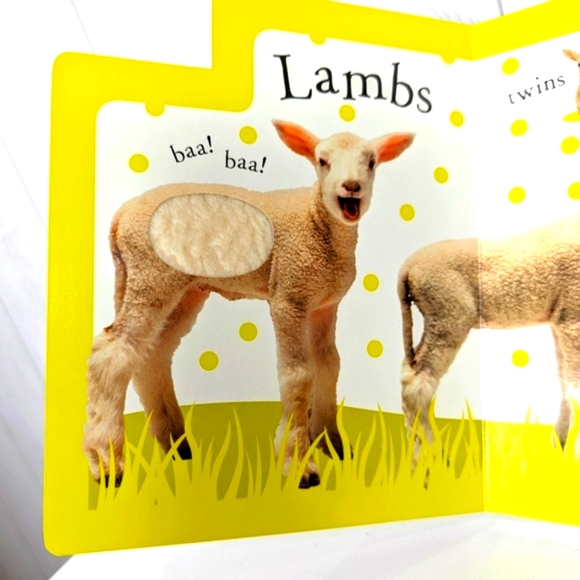 DK Farm Feel and Find Fun Board Book Baby or Toddler Book - Picture 6 of 6